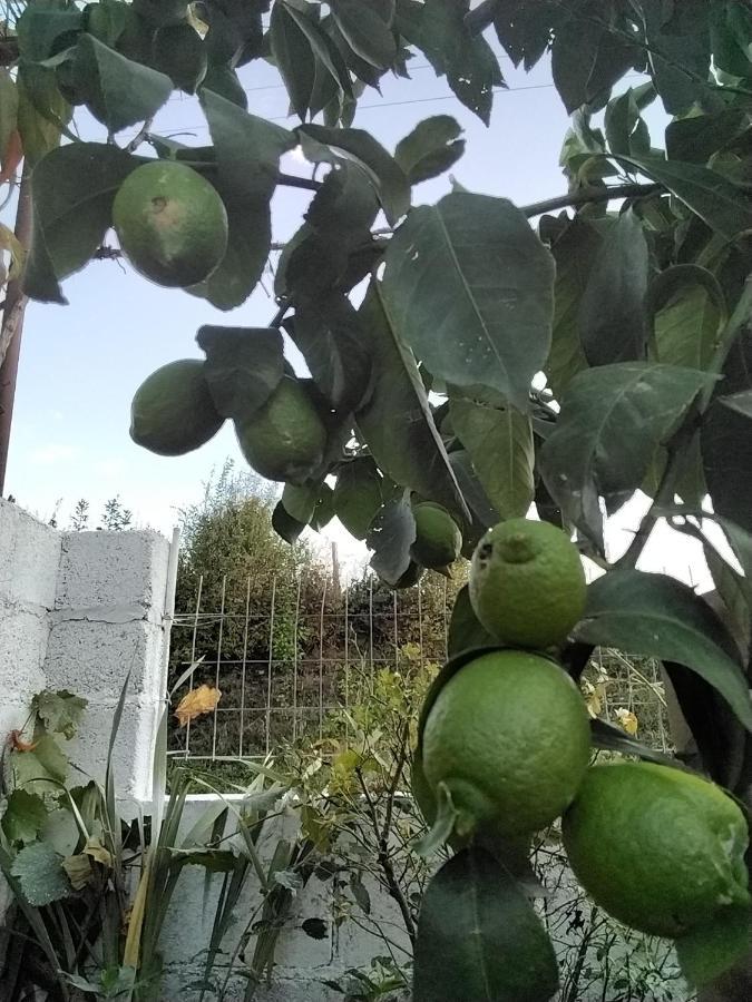 דירות Plaka  Frasta'S Rose מראה חיצוני תמונה